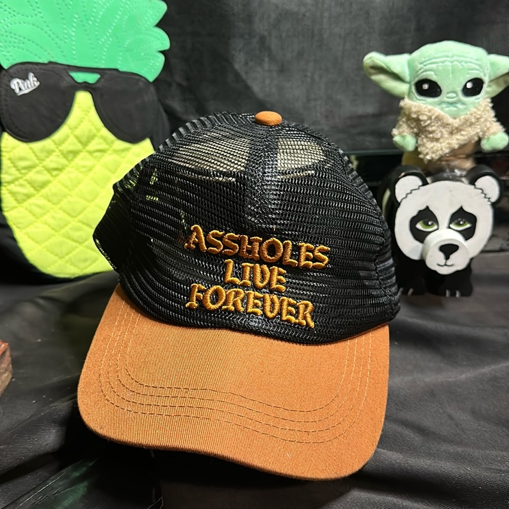 A holes live forever hat
